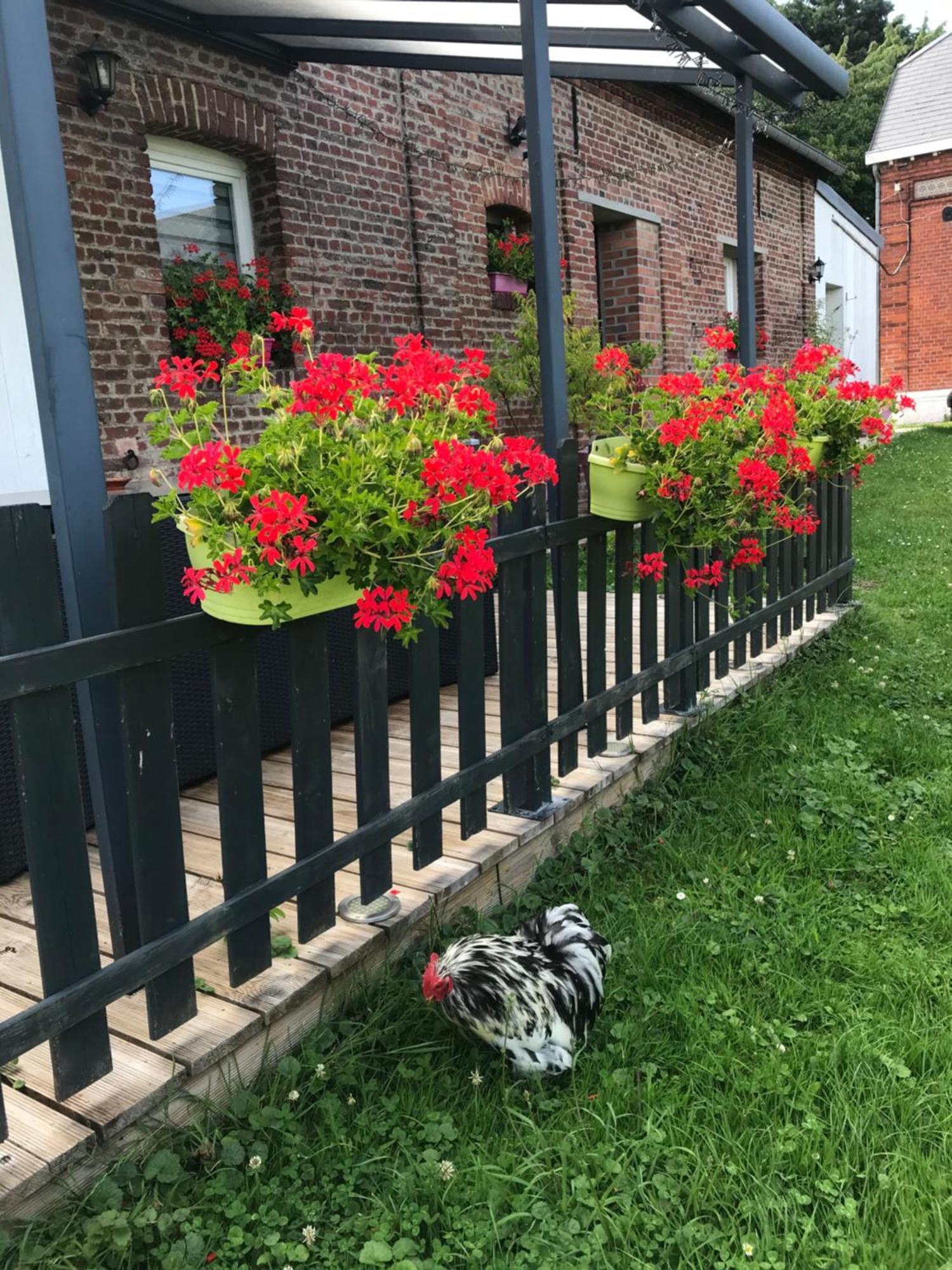 Chambre D'Hotes "Coquelicot" Nurlu Exterior foto
